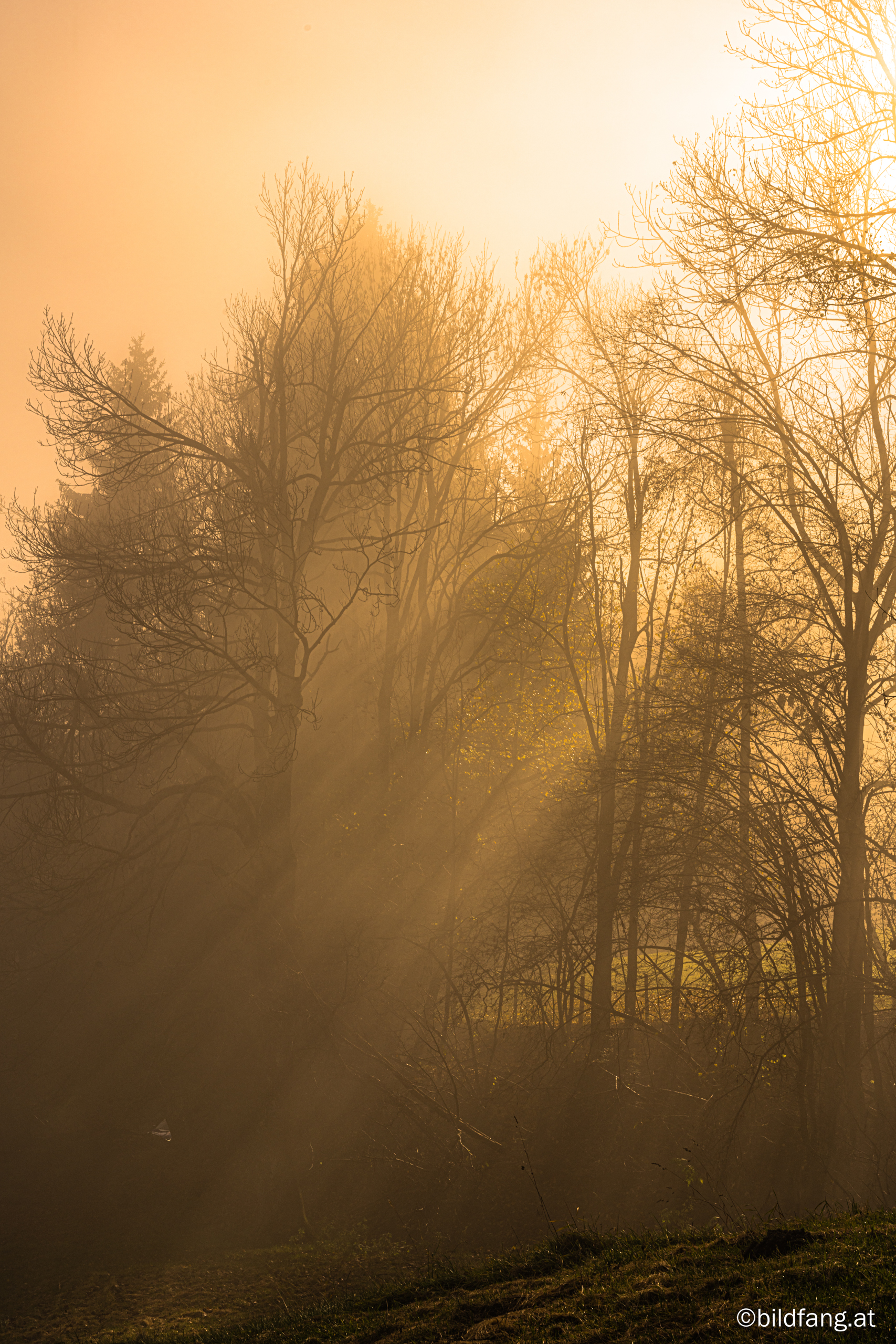 12&nbsp;Lichtspiele - Schöckl