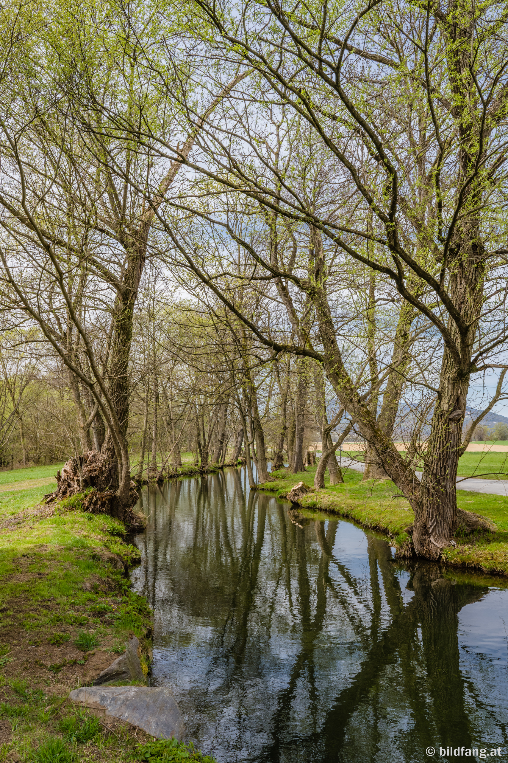 03 Mühlgang in Feistritztal - Steiermark